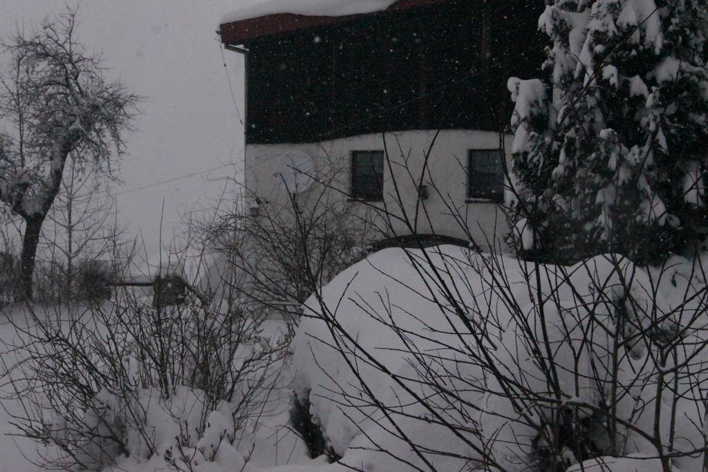 Pensjonat Nostalgia Sosnowka  Luaran gambar